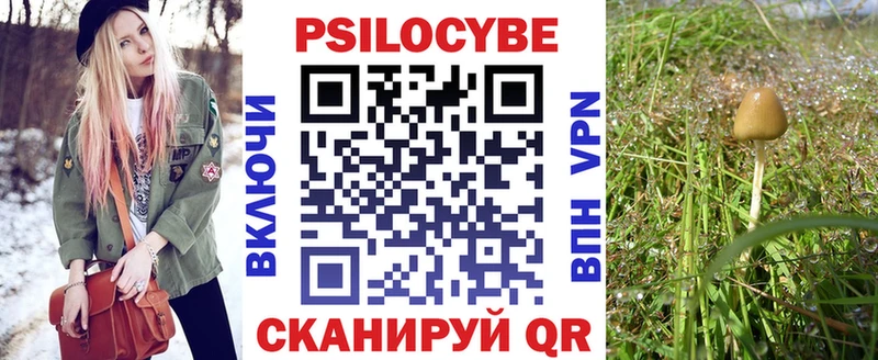 как найти   Чердынь  Псилоцибиновые грибы GOLDEN TEACHER 